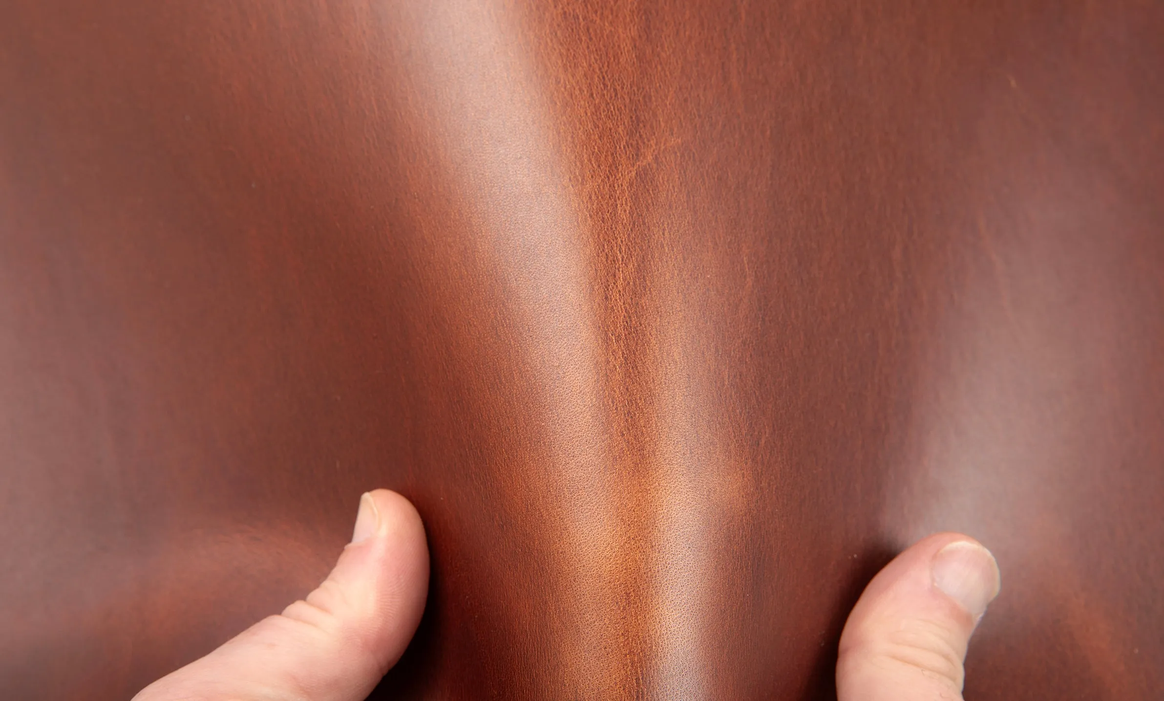 La Bretagna - Forza - Hot Wax Pullup - Veg Tanned Leather (HIDES)