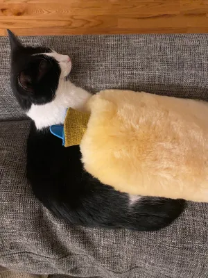 Pain and Anxiety Relief: Sheepskin Hot Bottle